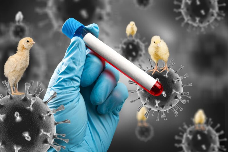 Michigan Farm Worker Diagnosed with H5 Avian Influenza Amidst Ongoing Outbrea