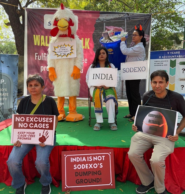 Animal Rights Groups Slam Sodexo for Neglecting Cage-Free Egg Promise in India