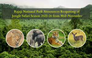 Rajaji-National-Park-Announces-Reopening-of-Jungle-Safari-Season-from-Mid-November