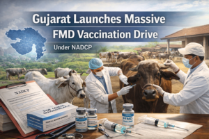Gujarat Launches Massive FMD Vaccination Drive Under NADCP